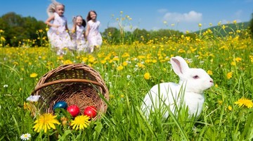 Easter holidays at Ózon Pension EN