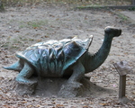 The Statues of the Miskolc Zoo