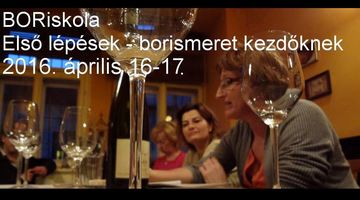 First steps - Wine lesson for beginners II. EN