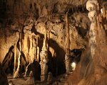 Bat themed tour in the Szent István cave